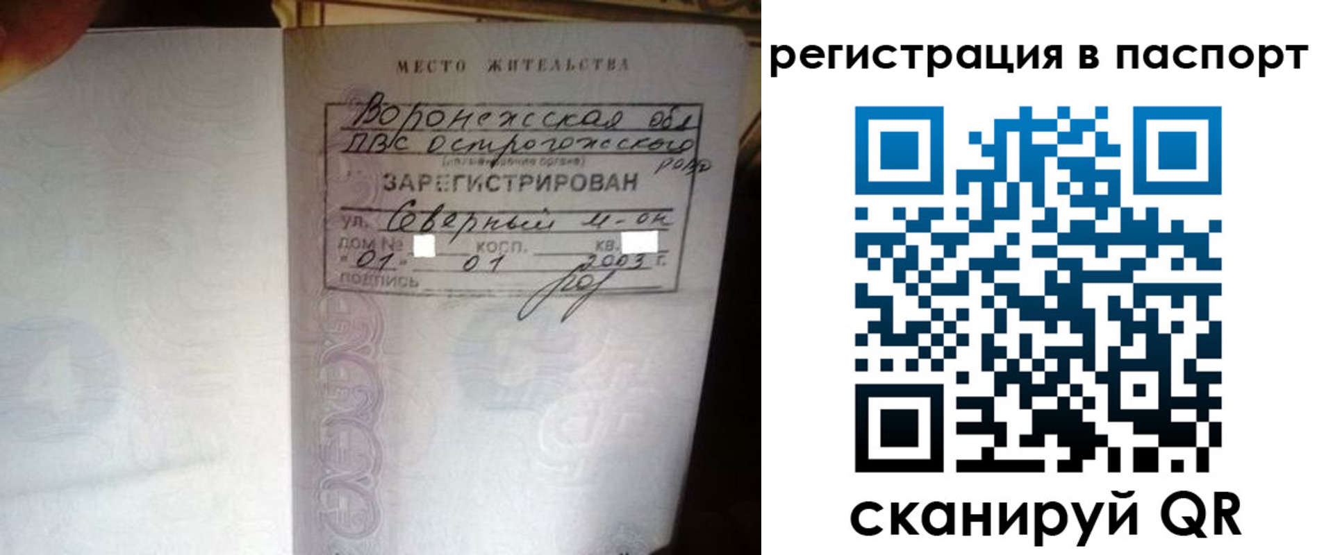 прописка для школы в Калининграде